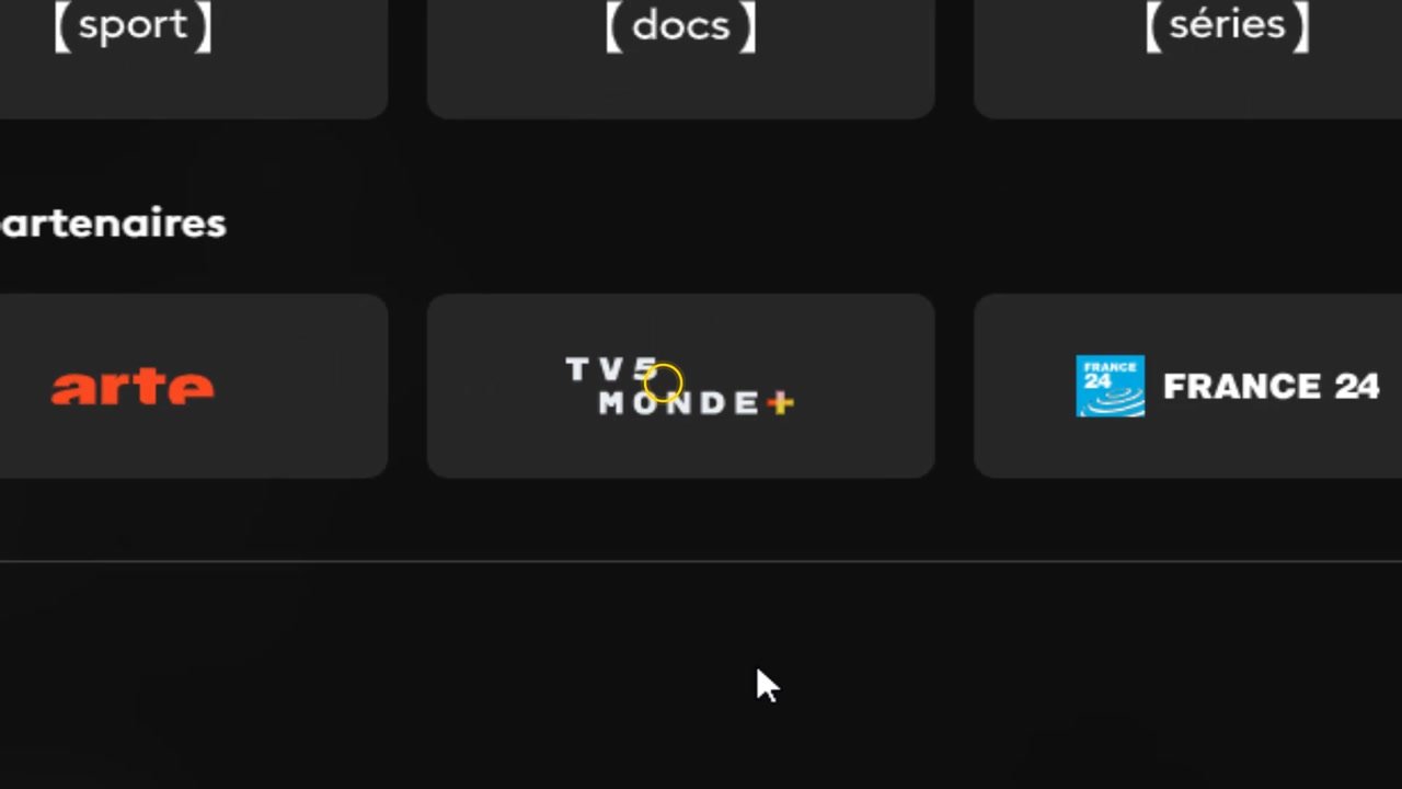 Section Nos partenaires de france.tv avec la vignette TV5MONDE+ entre Arte et France 24