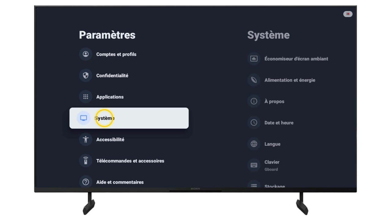 Entrée Système sélectionnée dans les Paramètres d’une TV Sony, avec ses options à droite